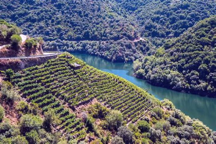 10 escort profiles in Aldeadavila de la Ribera, Spain. Browse companions, services, rates and book online. Incall and outcall available.