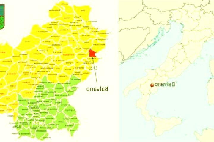 10 escort profiles in Balvano, Italy. Browse companions, services, rates and book online. Incall and outcall available.