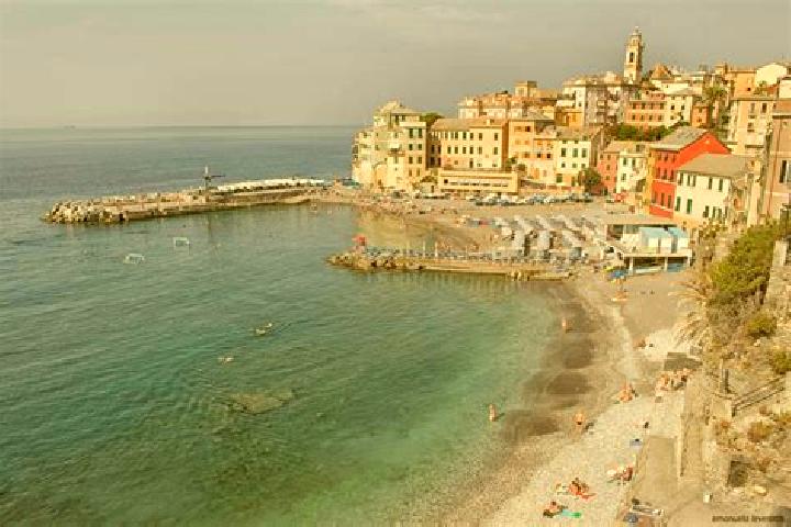 10 escort profiles in Bogliasco, Italy. Browse companions, services, rates and book online. Incall and outcall available.