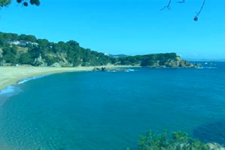 10 escort profiles in Castell-Platja d Aro, Spain. Browse companions, services, rates and book online. Incall and outcall available.