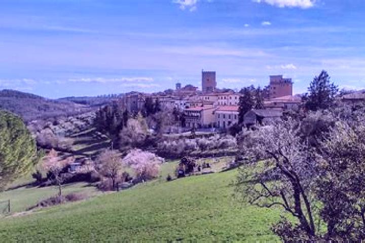 10 escort profiles in Castellina Scalo, Italy. Browse companions, services, rates and book online. Incall and outcall available.