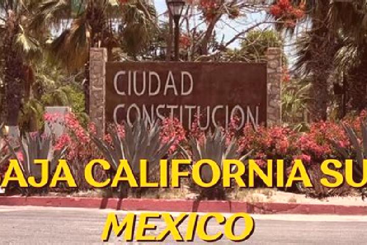 10 escort profiles in Ciudad Constitucion, Mexico. Browse companions, services, rates and book online. Incall and outcall available.