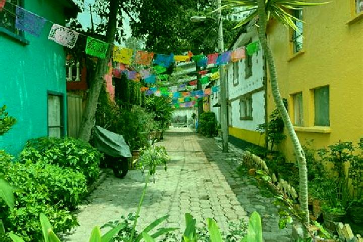 10 escort profiles in Colonia Palo Prieto (Chipitongo), Mexico. Browse companions, services, rates and book online. Incall and outcall available.