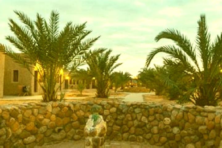 10 escort profiles in Dehiba, Tunisia. Browse companions, services, rates and book online. Incall and outcall available.