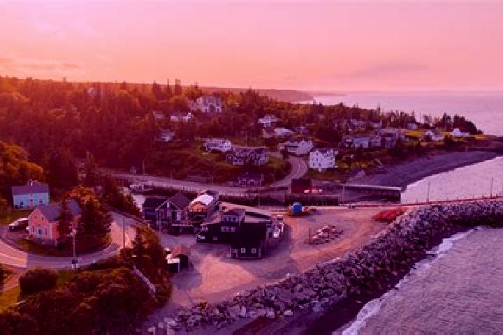 10 escort profiles in Ellenvale, Canada. Browse companions, services, rates and book online. Incall and outcall available.