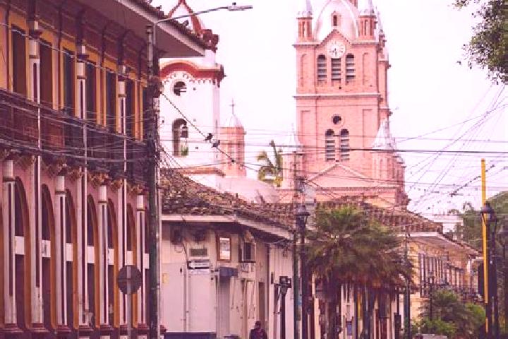 10 escort profiles in Guadalajara de Buga, Colombia. Browse companions, services, rates and book online. Incall and outcall available.