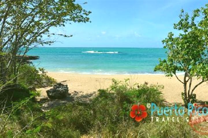10 escort profiles in Guanica, Puerto Rico. Browse companions, services, rates and book online. Incall and outcall available.