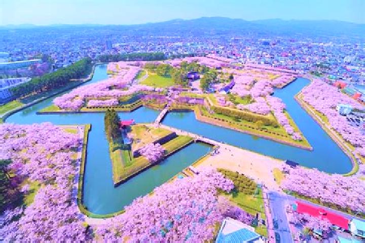10 escort profiles in Hakodate, Japan. Browse companions, services, rates and book online. Incall and outcall available.