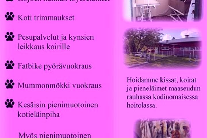 10 escort profiles in Isojoki, Finland. Browse companions, services, rates and book online. Incall and outcall available.