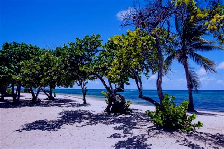 10 escort profiles in Le Moule, Guadeloupe. Browse companions, services, rates and book online. Incall and outcall available.