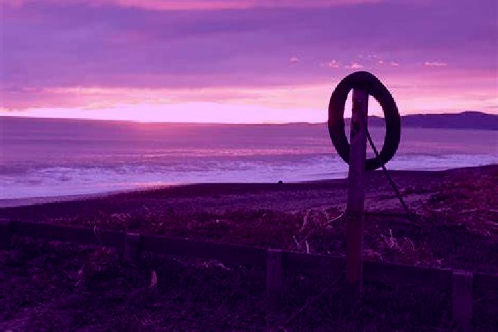 10 escort profiles in Leithfield, New Zealand. Browse companions, services, rates and book online. Incall and outcall available.