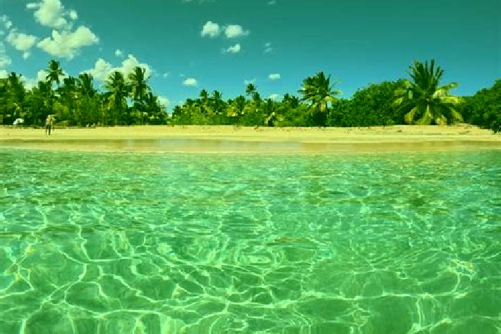 10 escort profiles in Manati, Puerto Rico. Browse companions, services, rates and book online. Incall and outcall available.