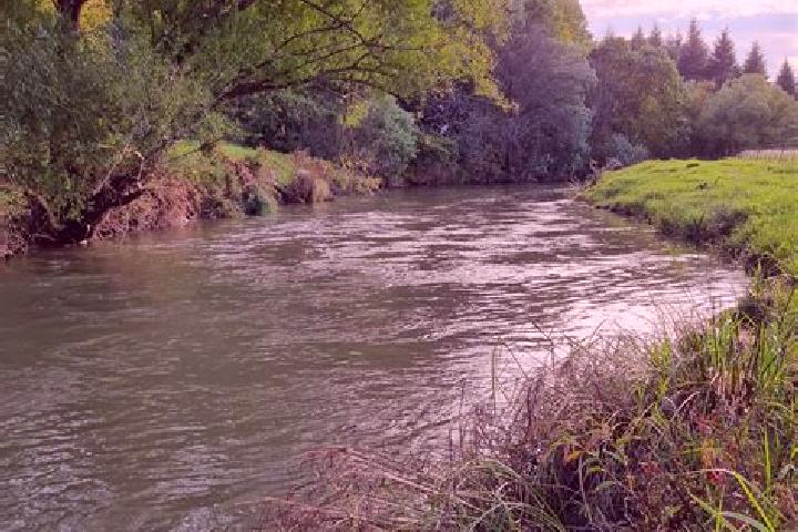 10 escort profiles in Mooi River, South Africa. Browse companions, services, rates and book online. Incall and outcall available.