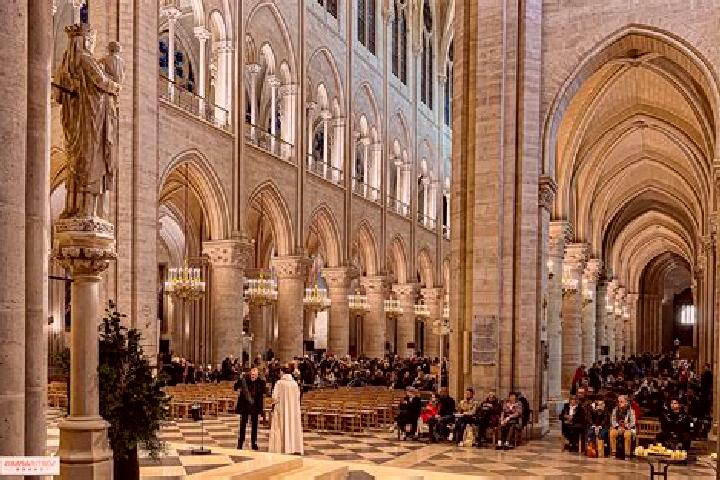 10 escort profiles in Notre-Dame-de-Gravenchon, France. Browse companions, services, rates and book online. Incall and outcall available.