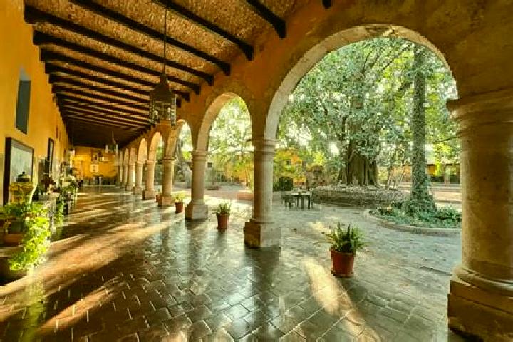10 escort profiles in Nuevo Centro de Poblacion Tlachichuca, Mexico. Browse companions, services, rates and book online. Incall and outcall available.