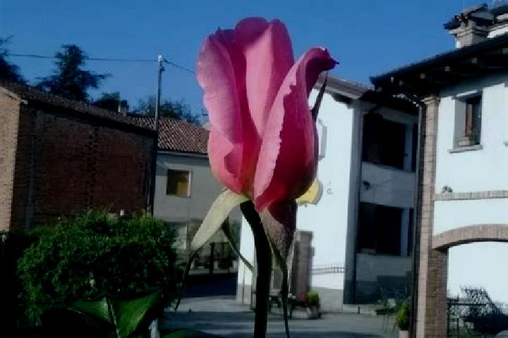 10 escort profiles in Pietra de Giorgi, Italy. Browse companions, services, rates and book online. Incall and outcall available.