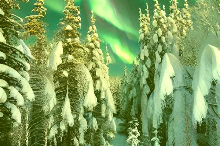10 escort profiles in Skee, Sweden. Browse companions, services, rates and book online. Incall and outcall available.