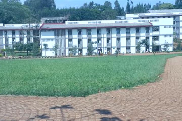 10 escort profiles in Tepi, Ethiopia. Browse companions, services, rates and book online. Incall and outcall available.