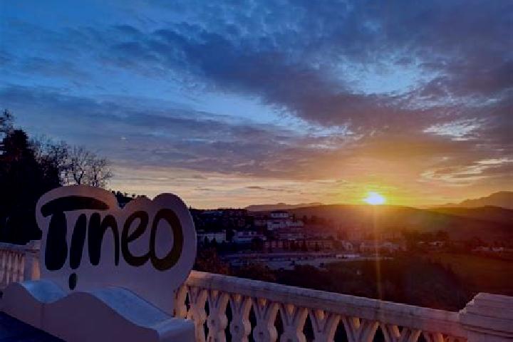 10 escort profiles in Tineo, Spain. Browse companions, services, rates and book online. Incall and outcall available.