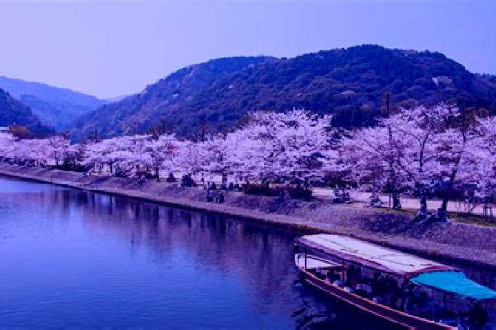 10 escort profiles in Uji, Japan. Browse companions, services, rates and book online. Incall and outcall available.