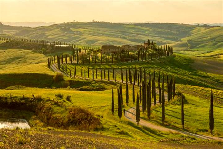 11 escort profiles in Asciano, Italy. Browse companions, services, rates and book online. Incall and outcall available.