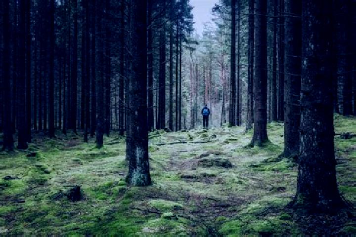 11 escort profiles in Atvidaberg, Sweden. Browse companions, services, rates and book online. Incall and outcall available.