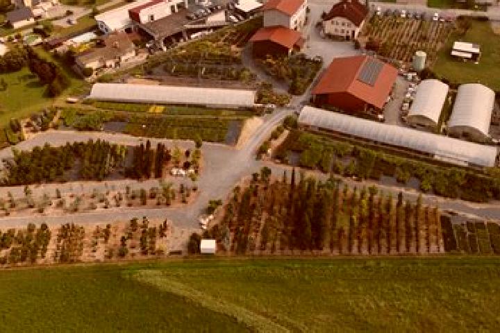11 escort profiles in Brezje pri Grosupljem, Slovenia. Browse companions, services, rates and book online. Incall and outcall available.