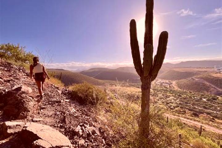 11 escort profiles in Cerro de la Esperanza, Mexico. Browse companions, services, rates and book online. Incall and outcall available.