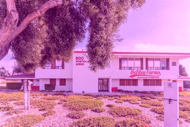 11 escort profiles in Del Rey Oaks, United States. Browse companions, services, rates and book online. Incall and outcall available.