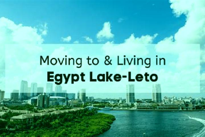 11 escort profiles in Egypt Lake-Leto, United States. Browse companions, services, rates and book online. Incall and outcall available.