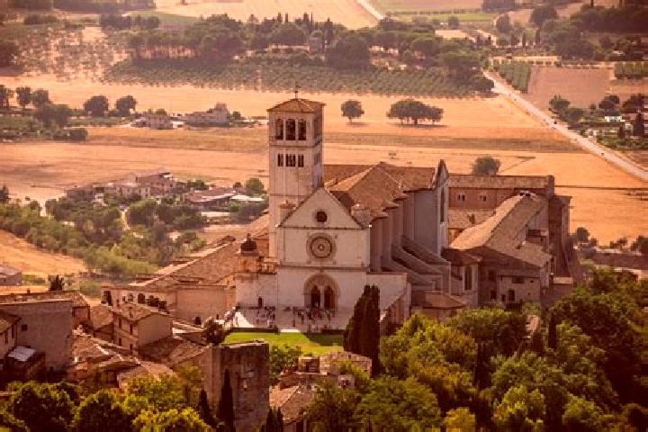 11 escort profiles in Fossato Ionico-Fossatello-San Luca Marcelluzzo, Italy. Browse companions, services, rates and book online. Incall and outcall available.