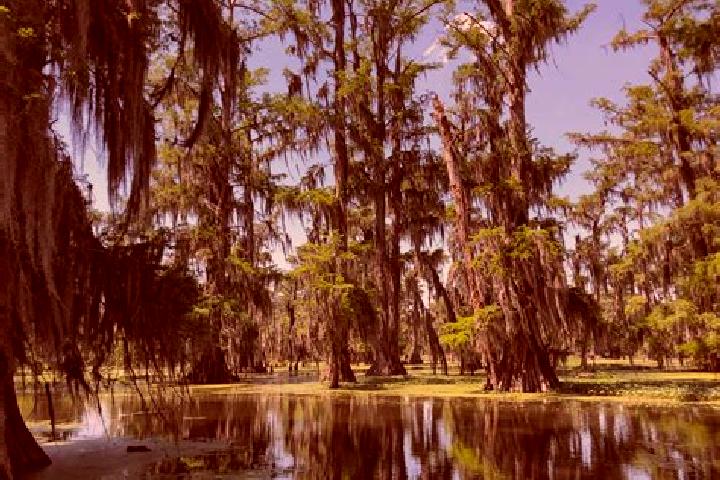 11 escort profiles in Grand Bayou Mobile Home Park, United States. Browse companions, services, rates and book online. Incall and outcall available.