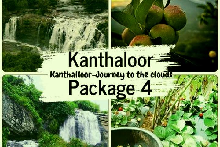 11 escort profiles in Kandalloor, India. Browse companions, services, rates and book online. Incall and outcall available.