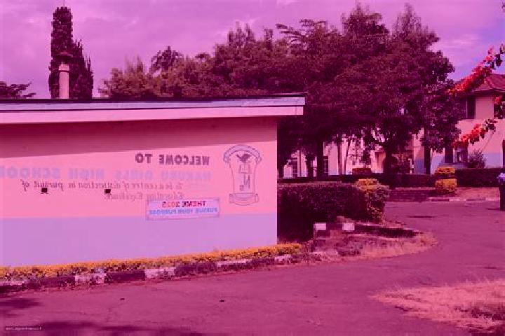 11 escort profiles in Khwisero, Kenya. Browse companions, services, rates and book online. Incall and outcall available.