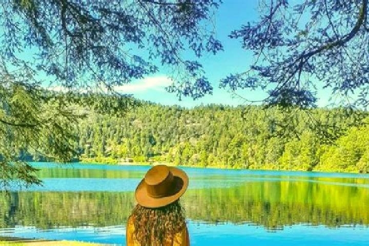 11 escort profiles in Laguna Larga, Mexico. Browse companions, services, rates and book online. Incall and outcall available.