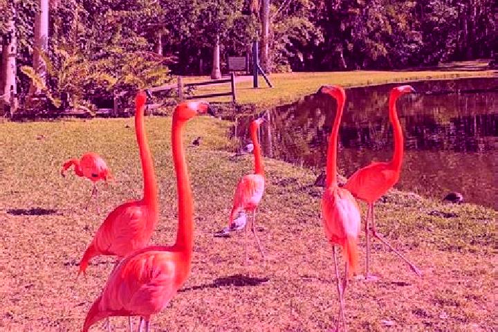 11 escort profiles in Lake Sarasota, United States. Browse companions, services, rates and book online. Incall and outcall available.