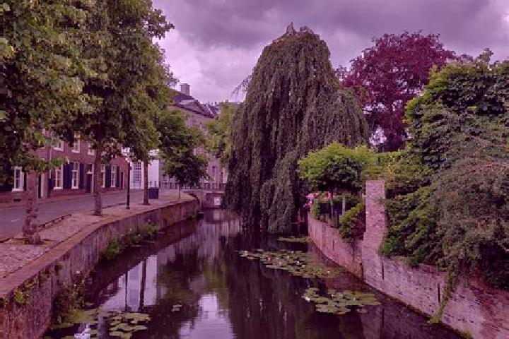 11 escort profiles in Leusden-Zuid, Netherlands. Browse companions, services, rates and book online. Incall and outcall available.