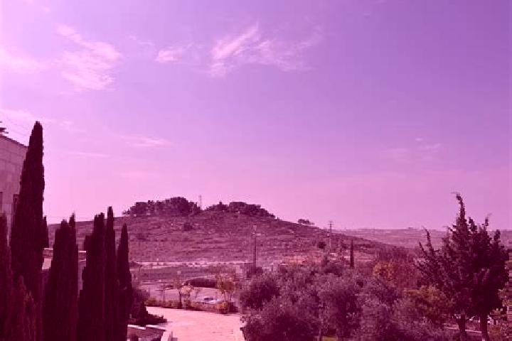 11 escort profiles in Migdal, Israel. Browse companions, services, rates and book online. Incall and outcall available.