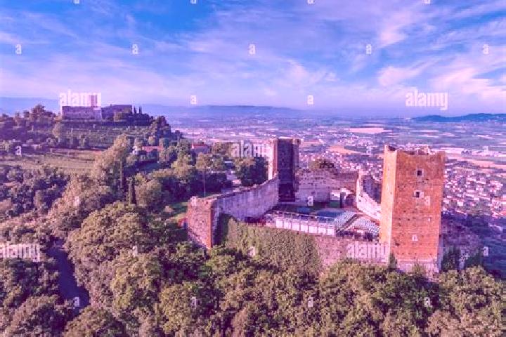 11 escort profiles in Montecchio Precalcino, Italy. Browse companions, services, rates and book online. Incall and outcall available.