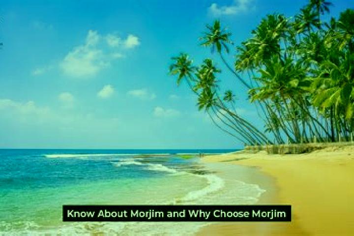 11 escort profiles in Morjim, India. Browse companions, services, rates and book online. Incall and outcall available.