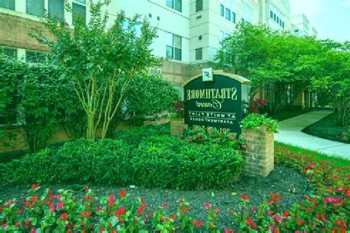 11 escort profiles in North Bethesda, United States. Browse companions, services, rates and book online. Incall and outcall available.