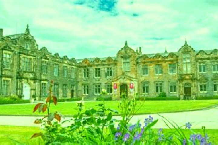11 escort profiles in Saint Andrews, United Kingdom. Browse companions, services, rates and book online. Incall and outcall available.
