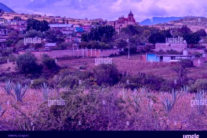 11 escort profiles in San Marcos Tlapazola, Mexico. Browse companions, services, rates and book online. Incall and outcall available.