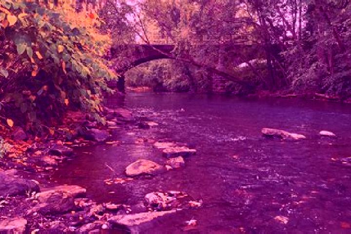 11 escort profiles in Schuylkill Haven, United States. Browse companions, services, rates and book online. Incall and outcall available.
