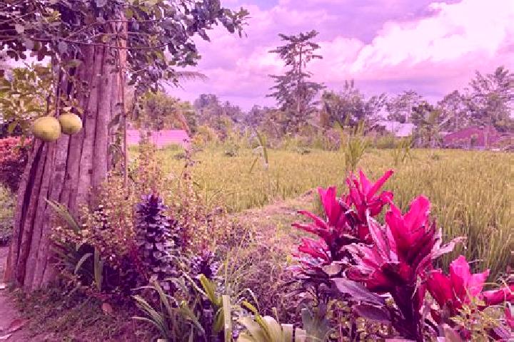 11 escort profiles in Tetebatu, Indonesia. Browse companions, services, rates and book online. Incall and outcall available.