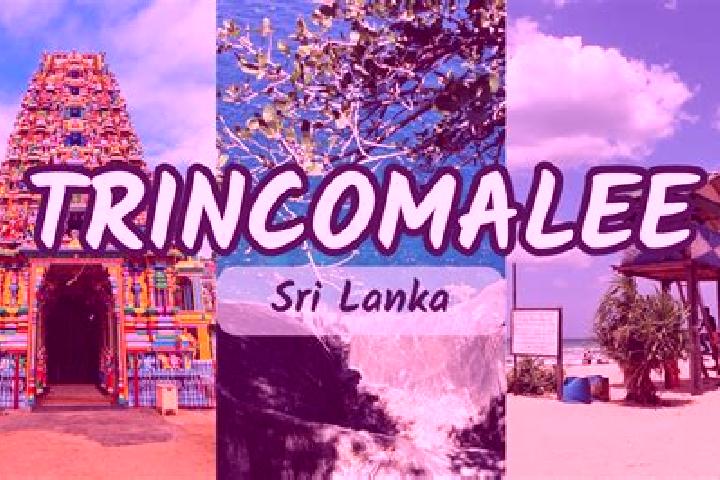 11 escort profiles in Trincomalee, Sri Lanka. Browse companions, services, rates and book online. Incall and outcall available.