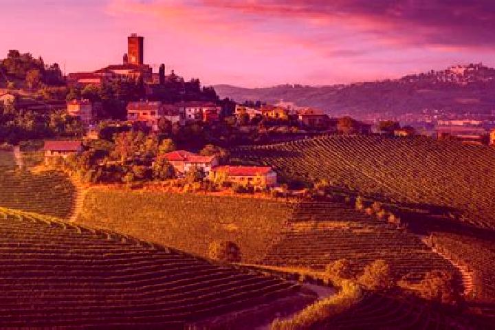 11 escort profiles in Villafranca Piemonte, Italy. Browse companions, services, rates and book online. Incall and outcall available.