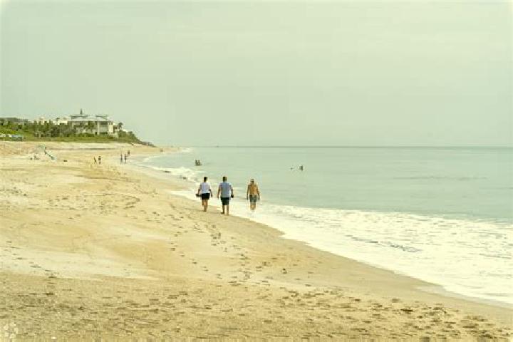 11 escort profiles in Wabasso Beach, United States. Browse companions, services, rates and book online. Incall and outcall available.