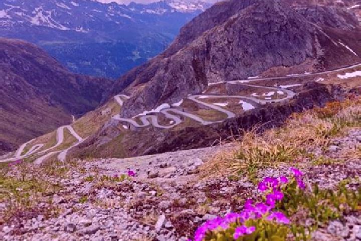 12 escort profiles in Airolo, Switzerland. Browse companions, services, rates and book online. Incall and outcall available.