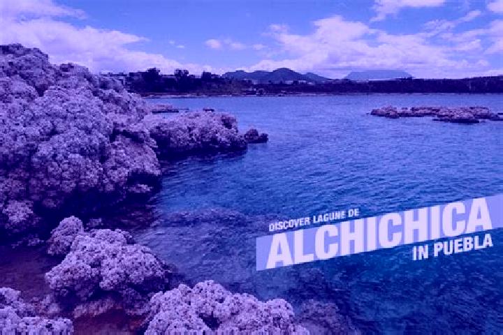 12 escort profiles in Alchichica, Mexico. Browse companions, services, rates and book online. Incall and outcall available.